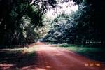 Ambush Site