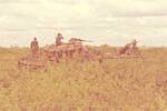 1st Plt Tk in Filhol